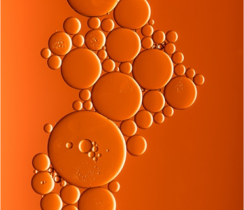 cells